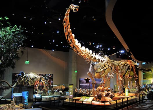 Dinosaur hall at the Perot Museum of Nature & Science, Dallas TX